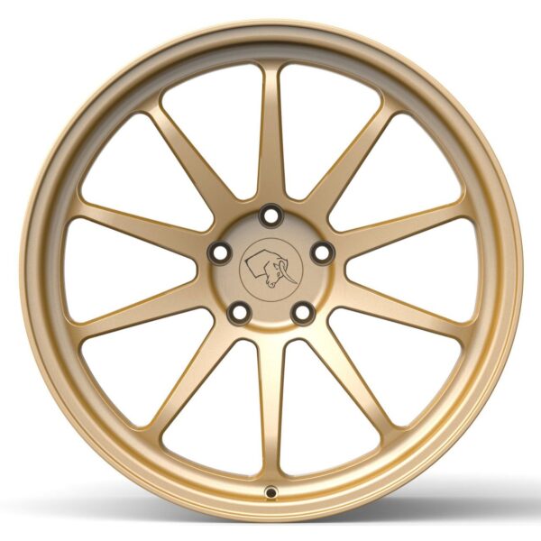 Radenergie F1-Racing Wheel