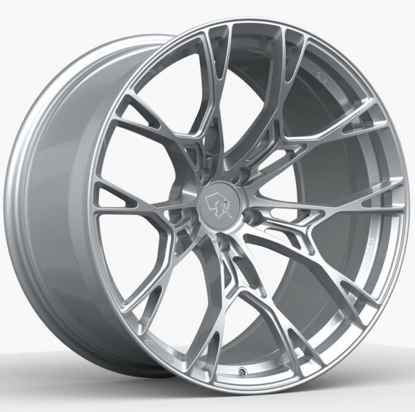 RS 5.3 Monoblock